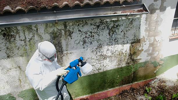 Top rated local Crawl Space Mold Removal specialists in Conestoga, PA